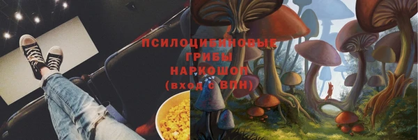твердый Арсеньев