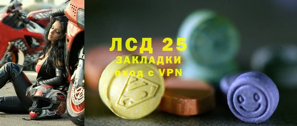 твердый Арсеньев