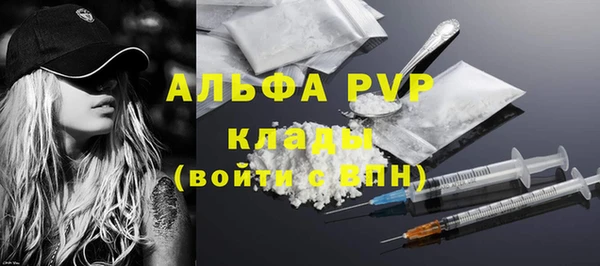 твердый Арсеньев